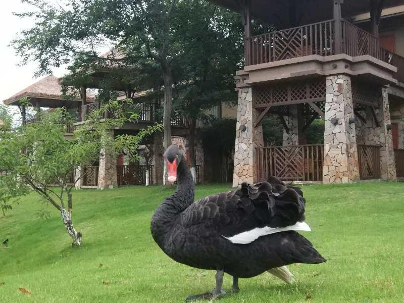 Jz Hotel Emei Emeishan Luaran gambar